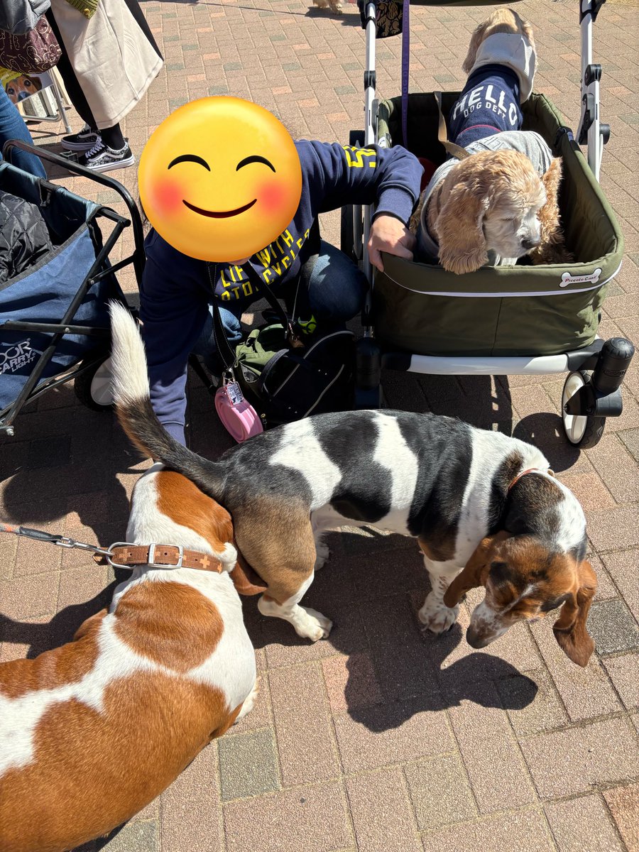 ZZy（じーじい） tweet media