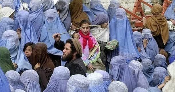 Selman (Prens Olmayan) tweet media