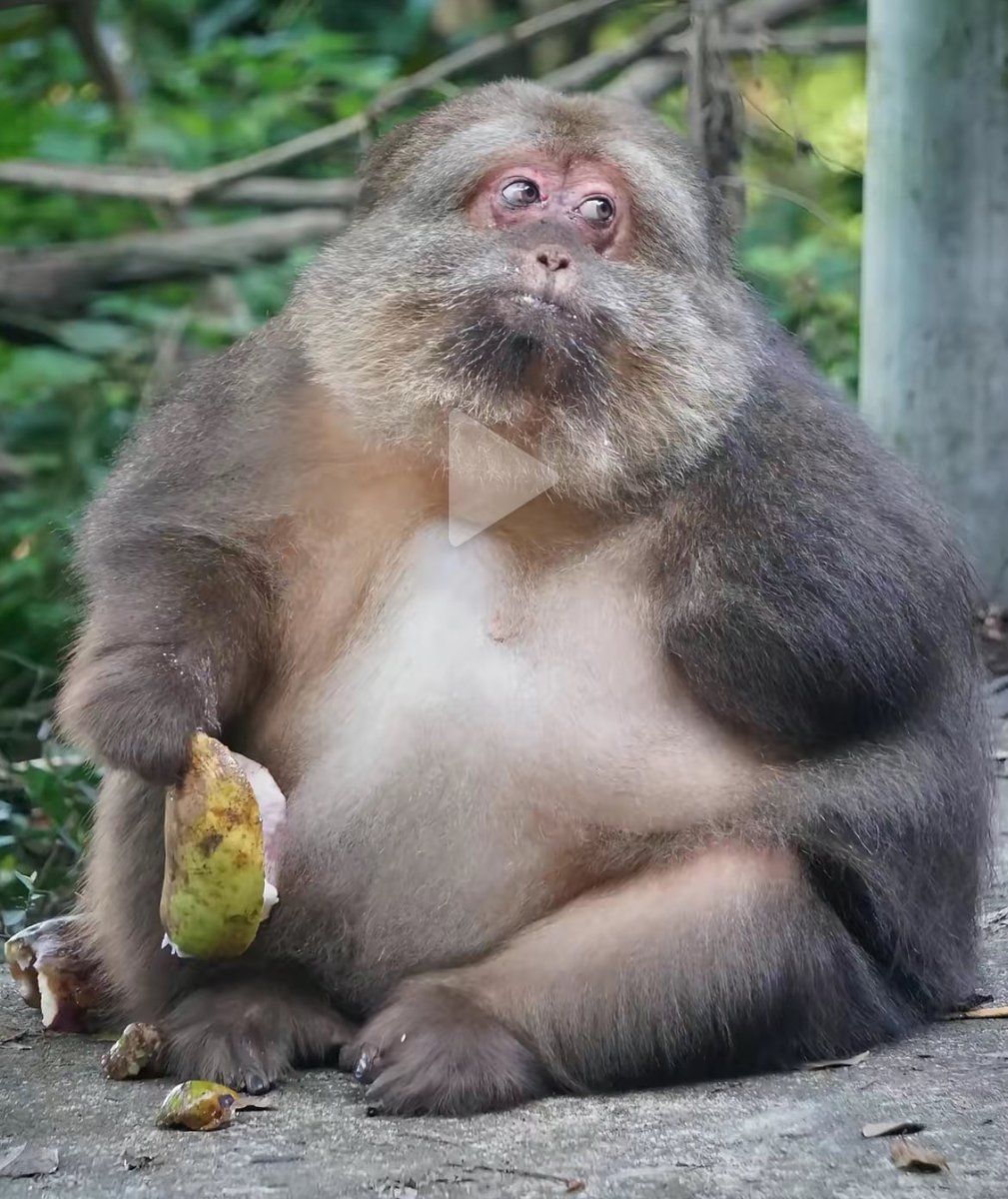 Vincent… tweet media