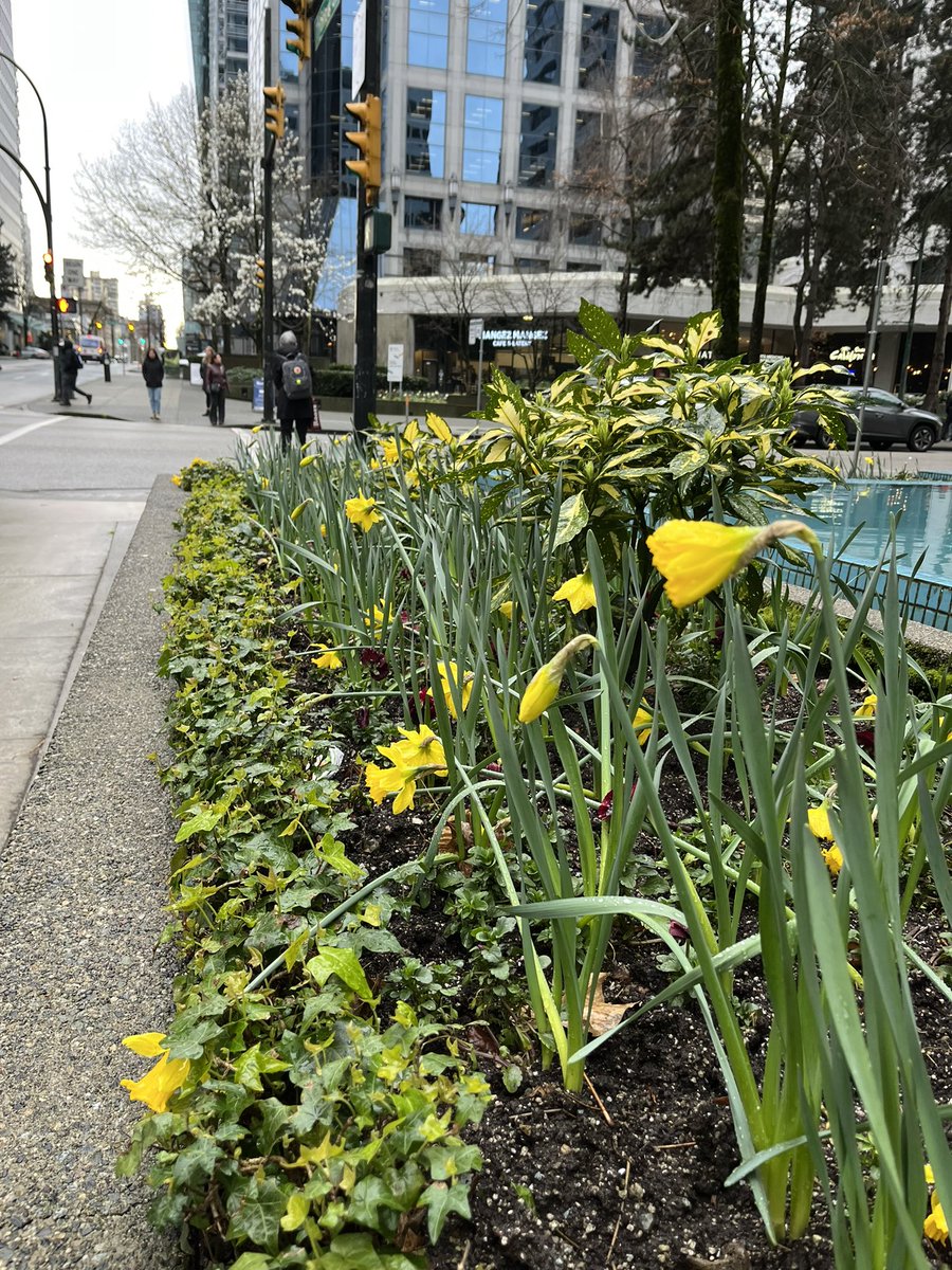Security2j2's tweet photo. Vancouver, great conference.
>>>——-> 
#Metis
#Wellness https://t.co/t0bVLnvoOj