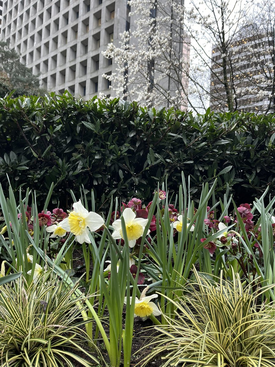 Security2j2's tweet photo. Vancouver, great conference.
>>>——-> 
#Metis
#Wellness https://t.co/t0bVLnvoOj