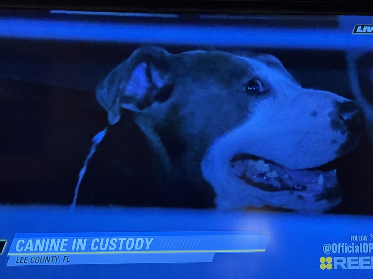 Bryan of the Whisky City tweet media