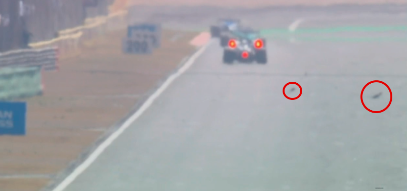 Luiscel11 tweet media