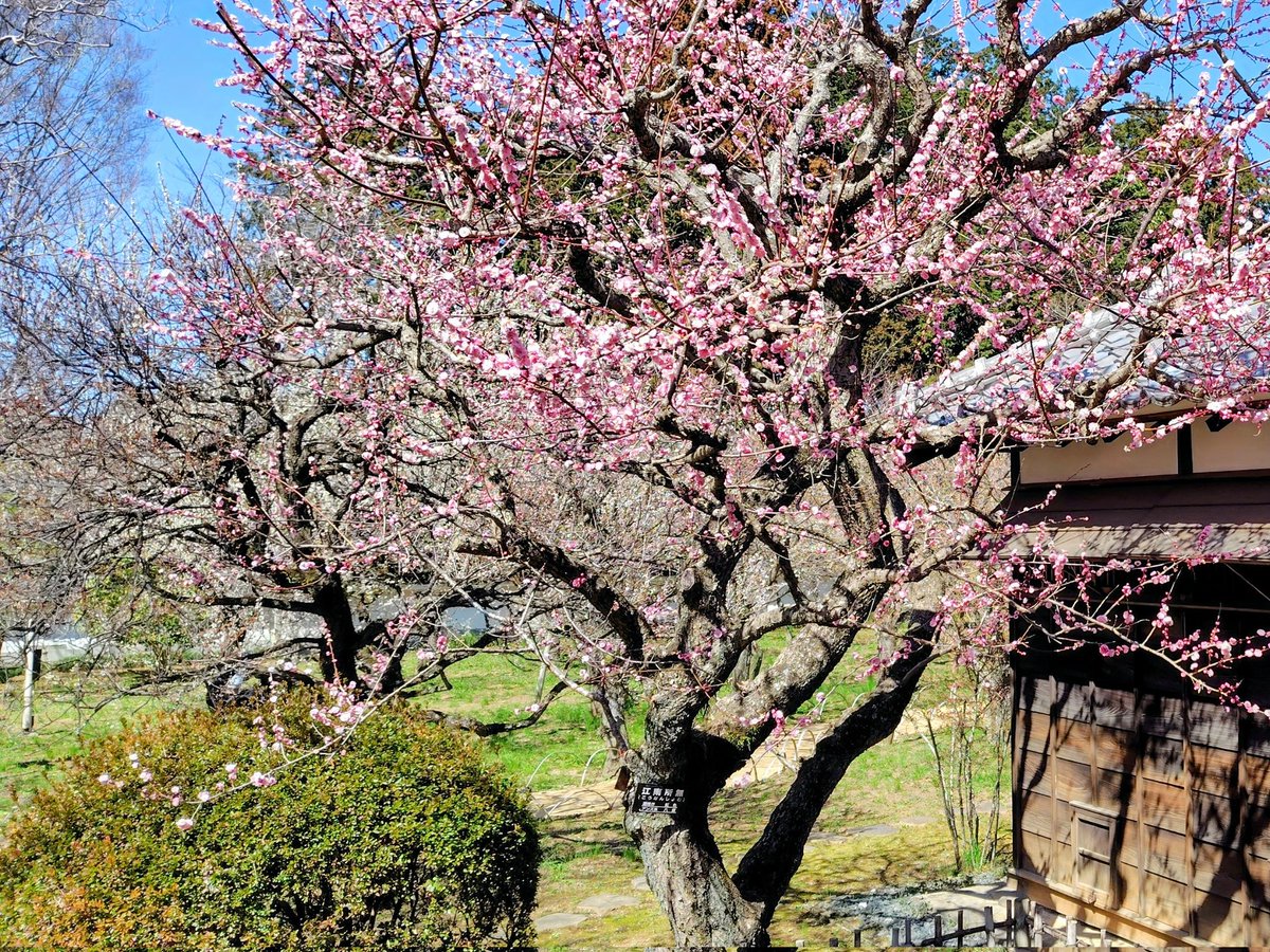 ROTTERS'PAPER tweet media