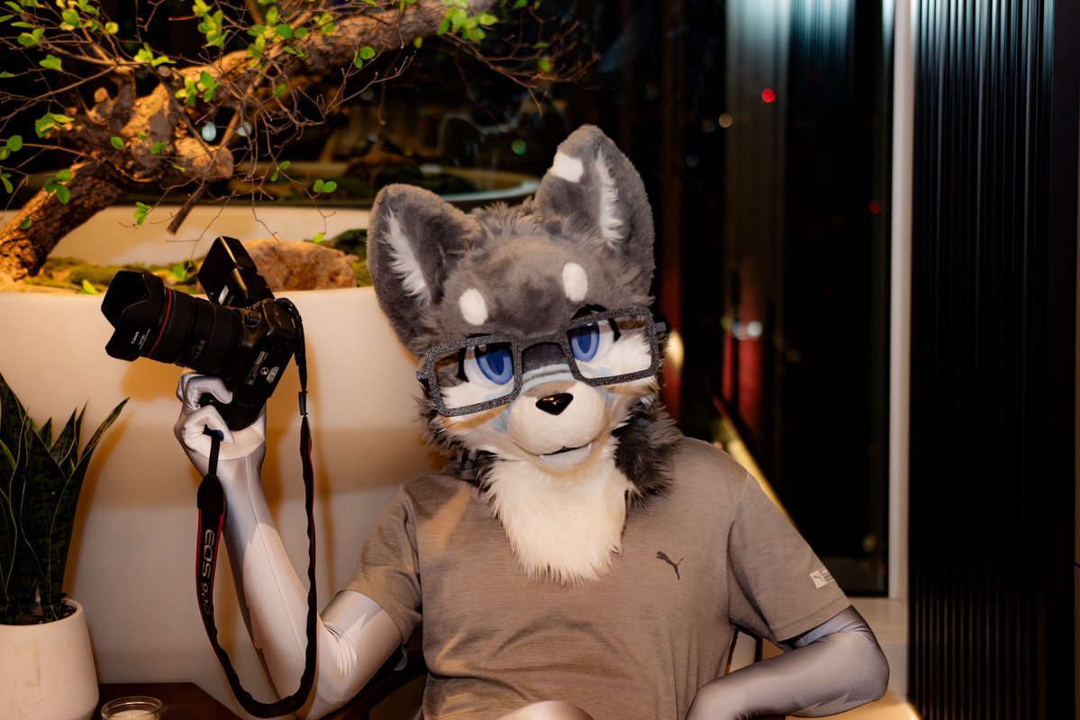 塔可洛/タコロ🐶 ➡️ UTFG2026 tweet media