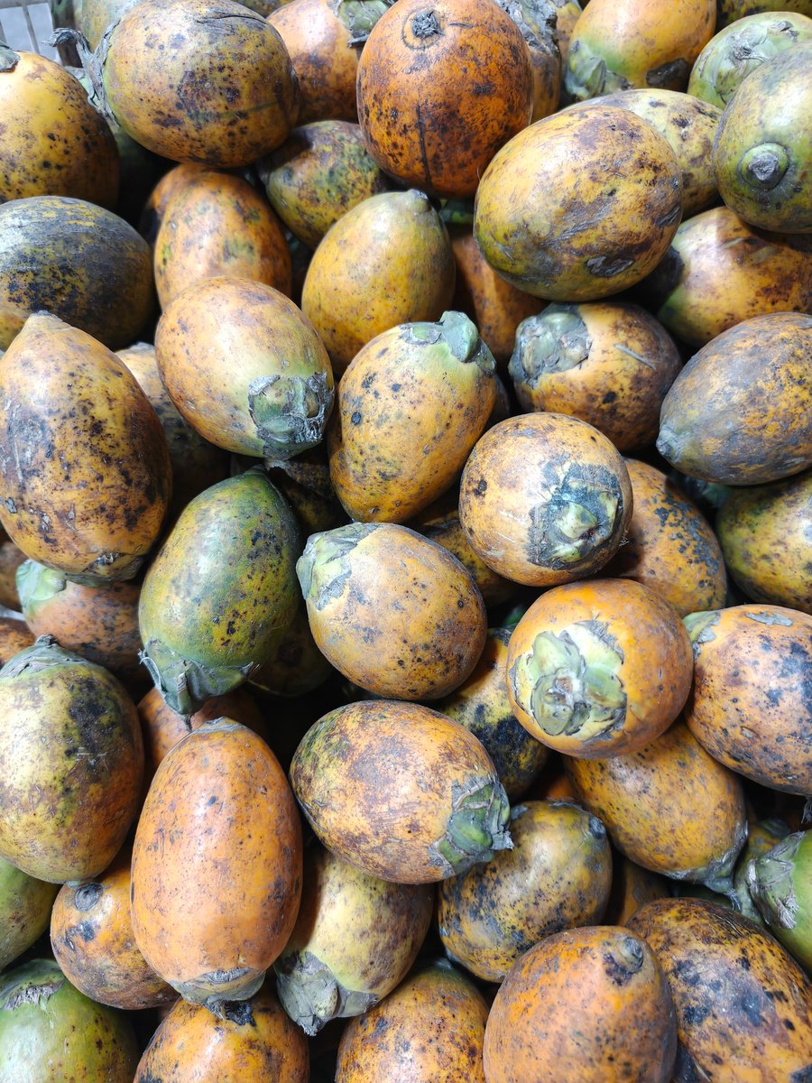 Bashar Aziz tweet media