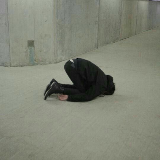 ปั๊ก tweet media