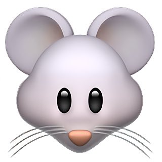 一窝喵 tweet media