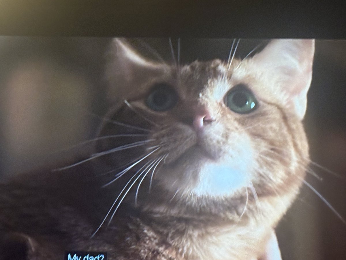 Sharon Collins, PAEMST tweet media