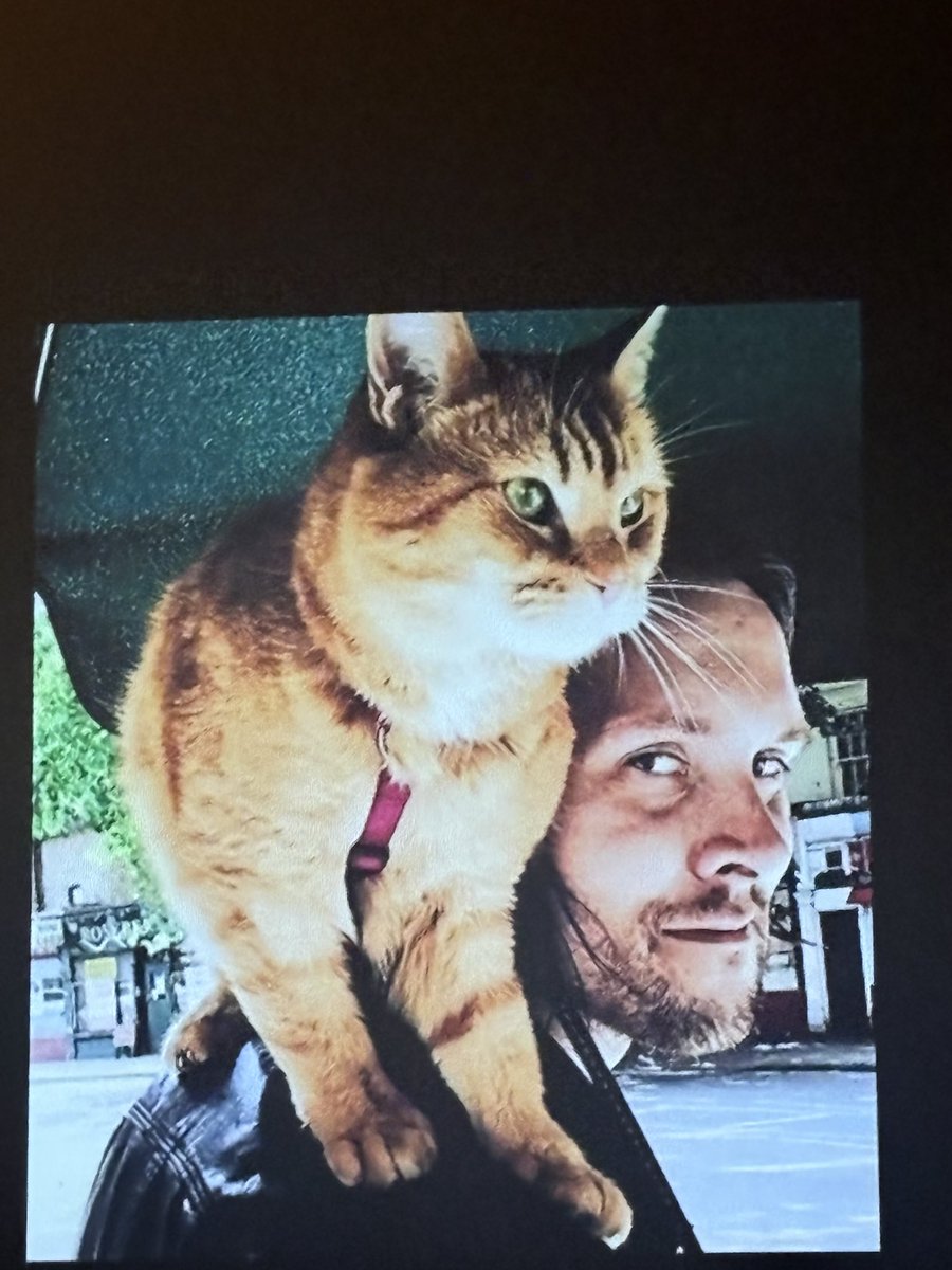 Sharon Collins, PAEMST tweet media