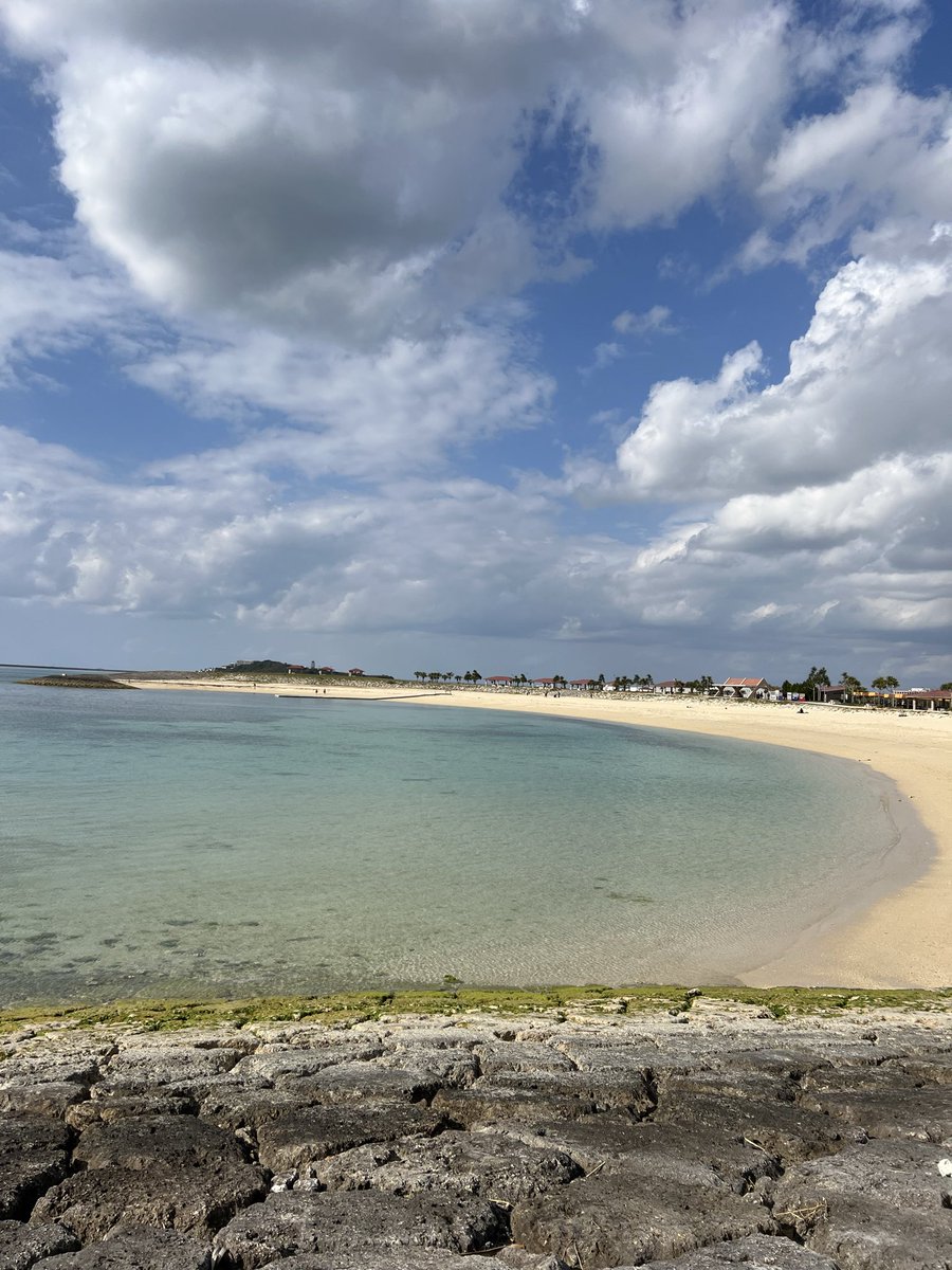 🍭アフアフさん👴 tweet media