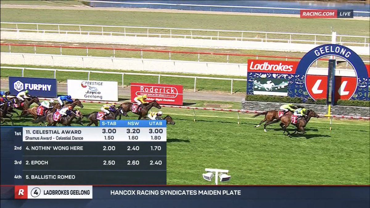 Ben's 🐎Racing Tips tweet media