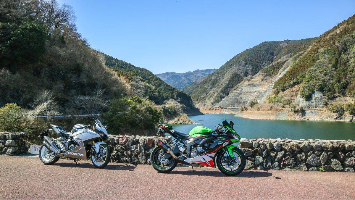 Rさん🐰 tweet media