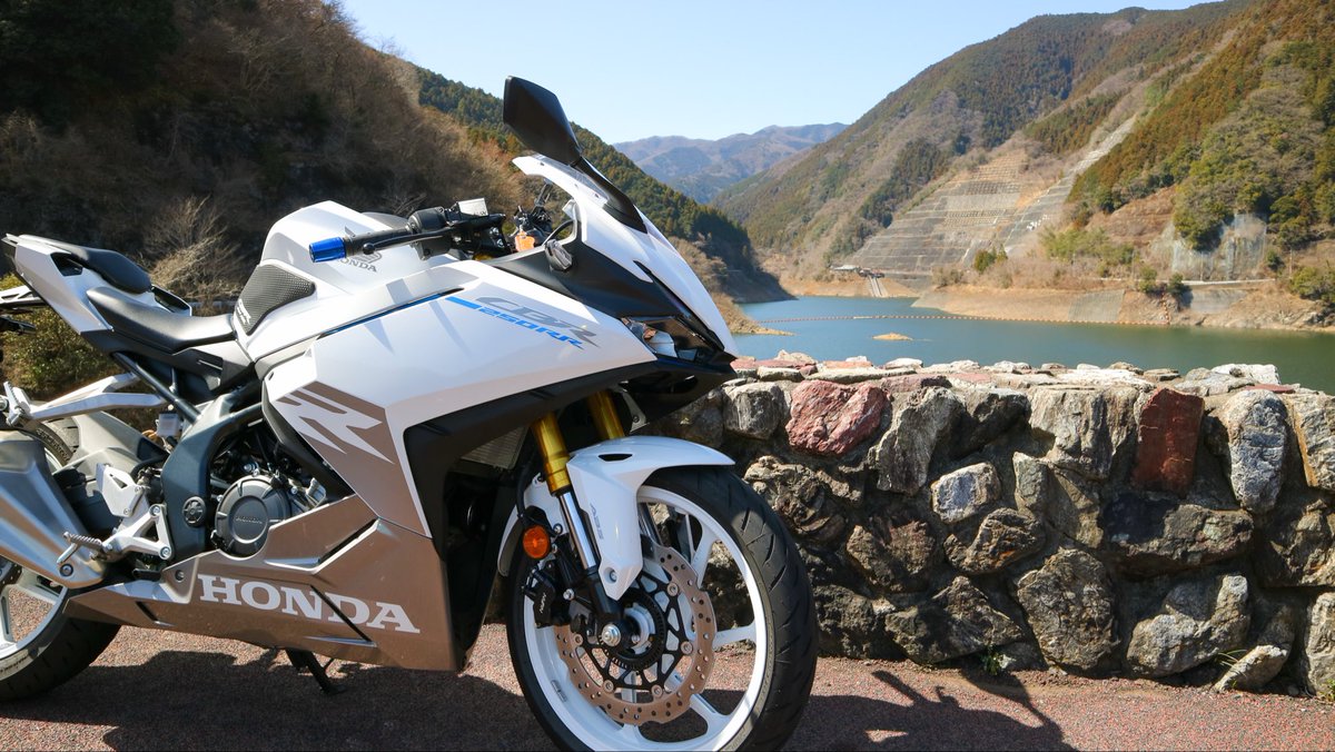 Rさん🐰 tweet media