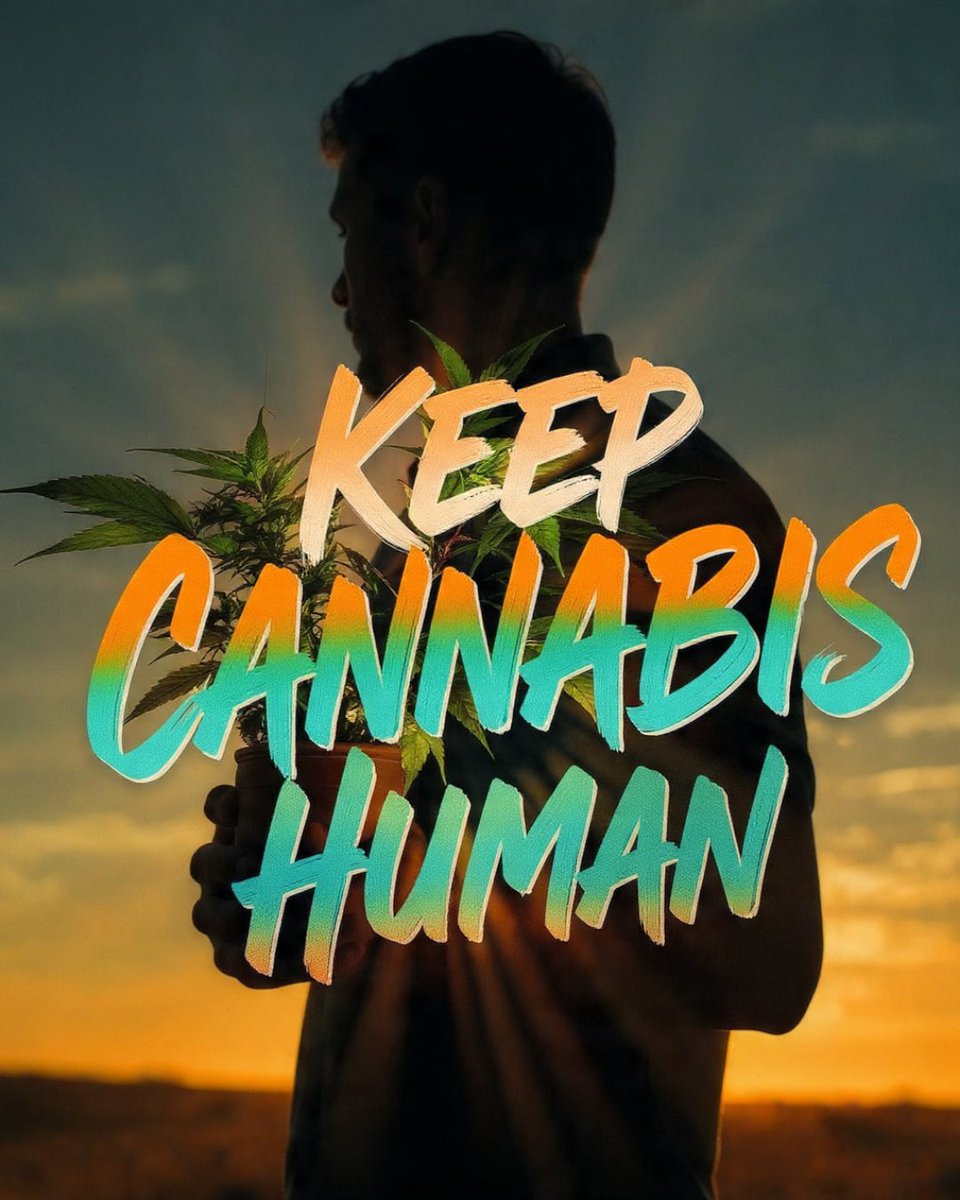 The plant in our hands reminds us this is about people, not just product. Let's make sure our rules support the folks who are building this industry from the ground up, keeping it fair and accessible for independent growers and small businesses. We need regulations rooted in