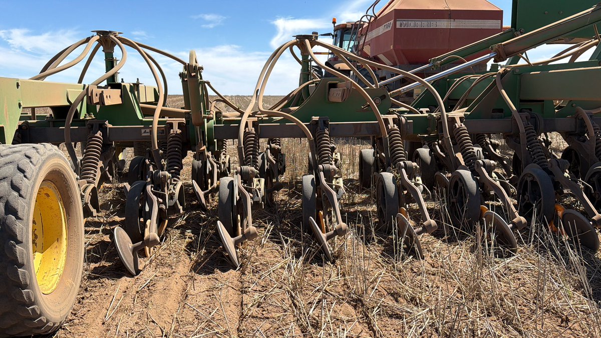 Damien Elson tweet media