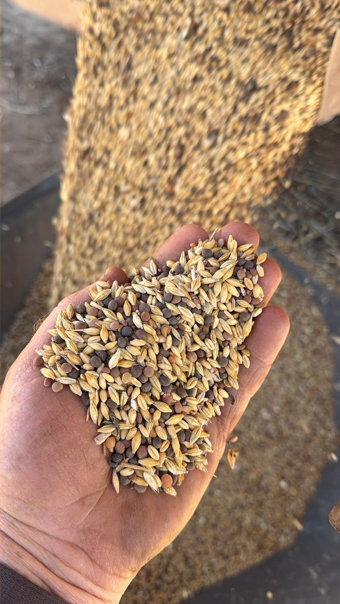 Damien Elson tweet media