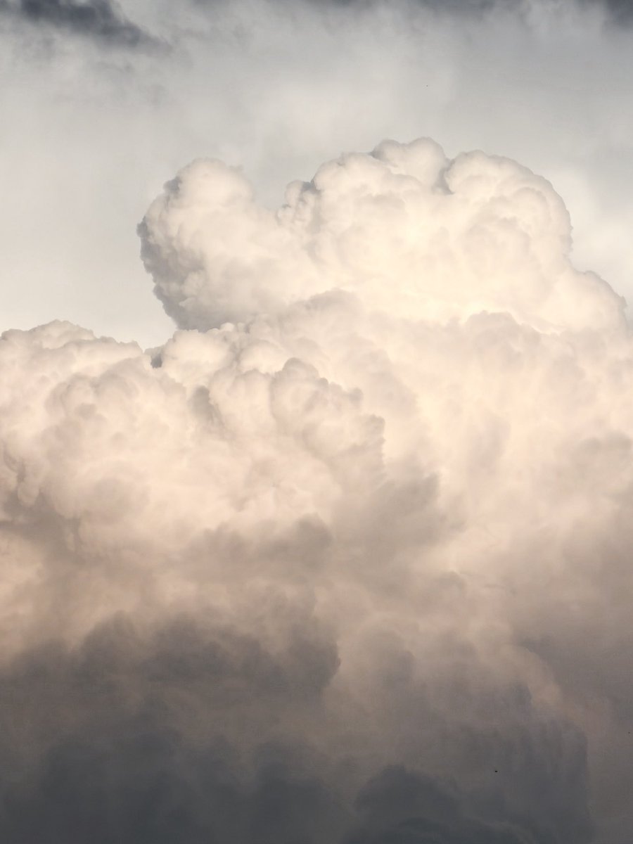 BoredOhms.eth 🍌 tweet media