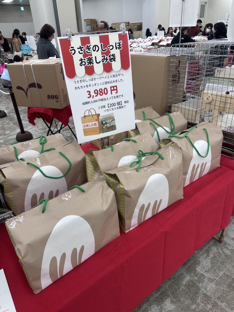 うさぎのしっぽ横浜店 tweet media