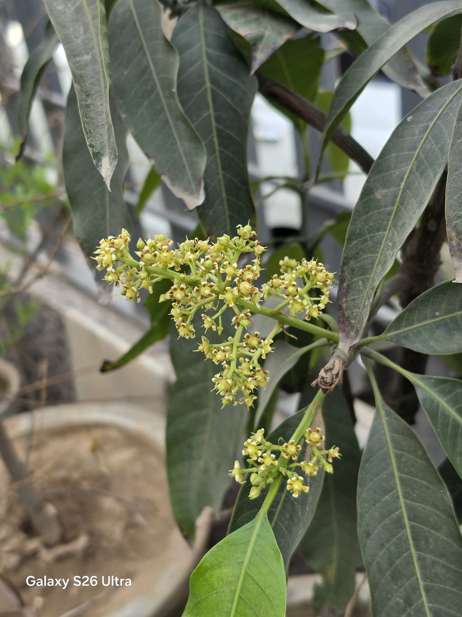 Tarun Vats tweet media