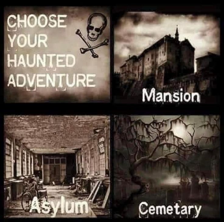 NotReallyStacy tweet media