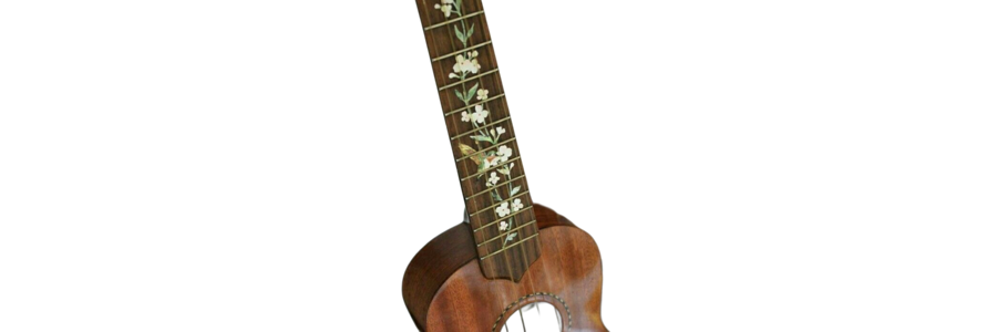 𝘵𝘩𝘦 𝘴𝘰𝘯𝘨𝘣𝘪𝘳𝘥.ᐟ tweet media