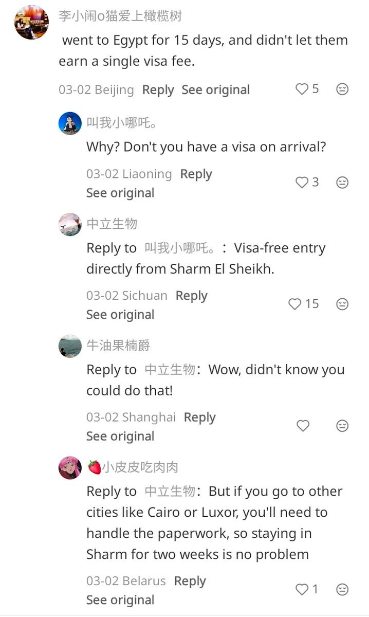 Olive 🌿 tweet media