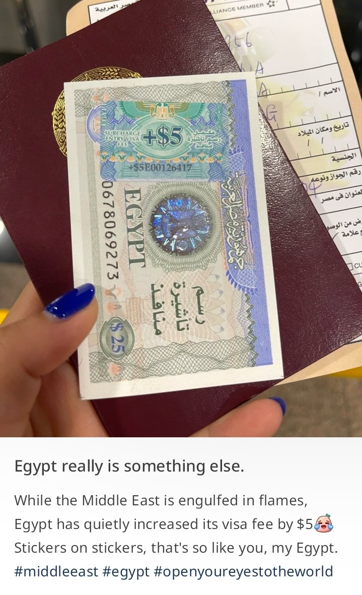 Olive 🌿 tweet media