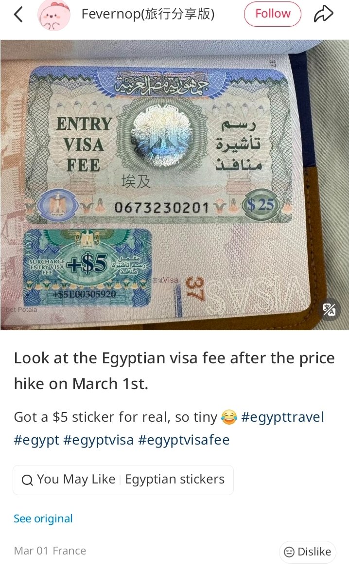 Olive 🌿 tweet media