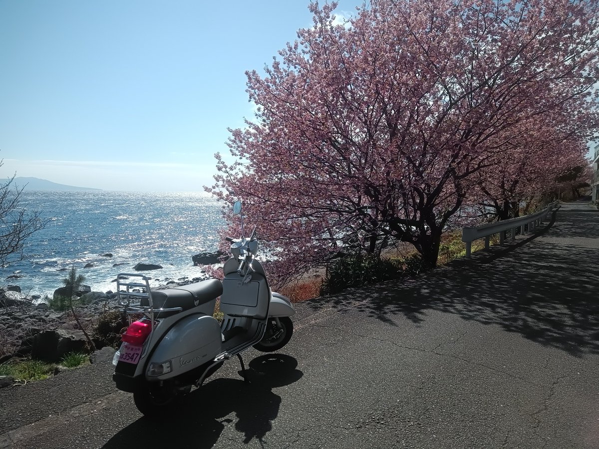かたつむり tweet media