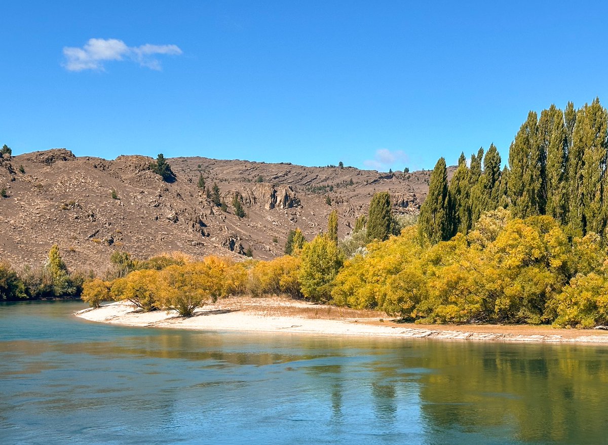 Kevin Palmer tweet media