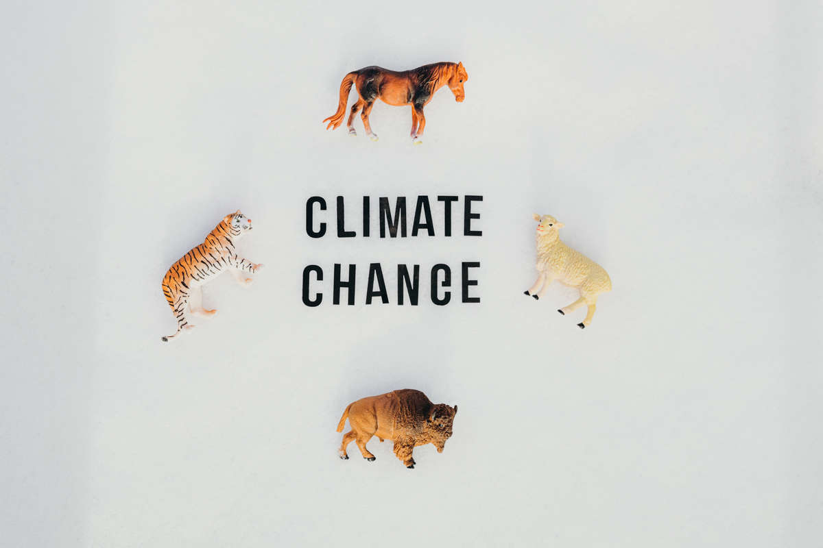 Adam Gebb tweet media