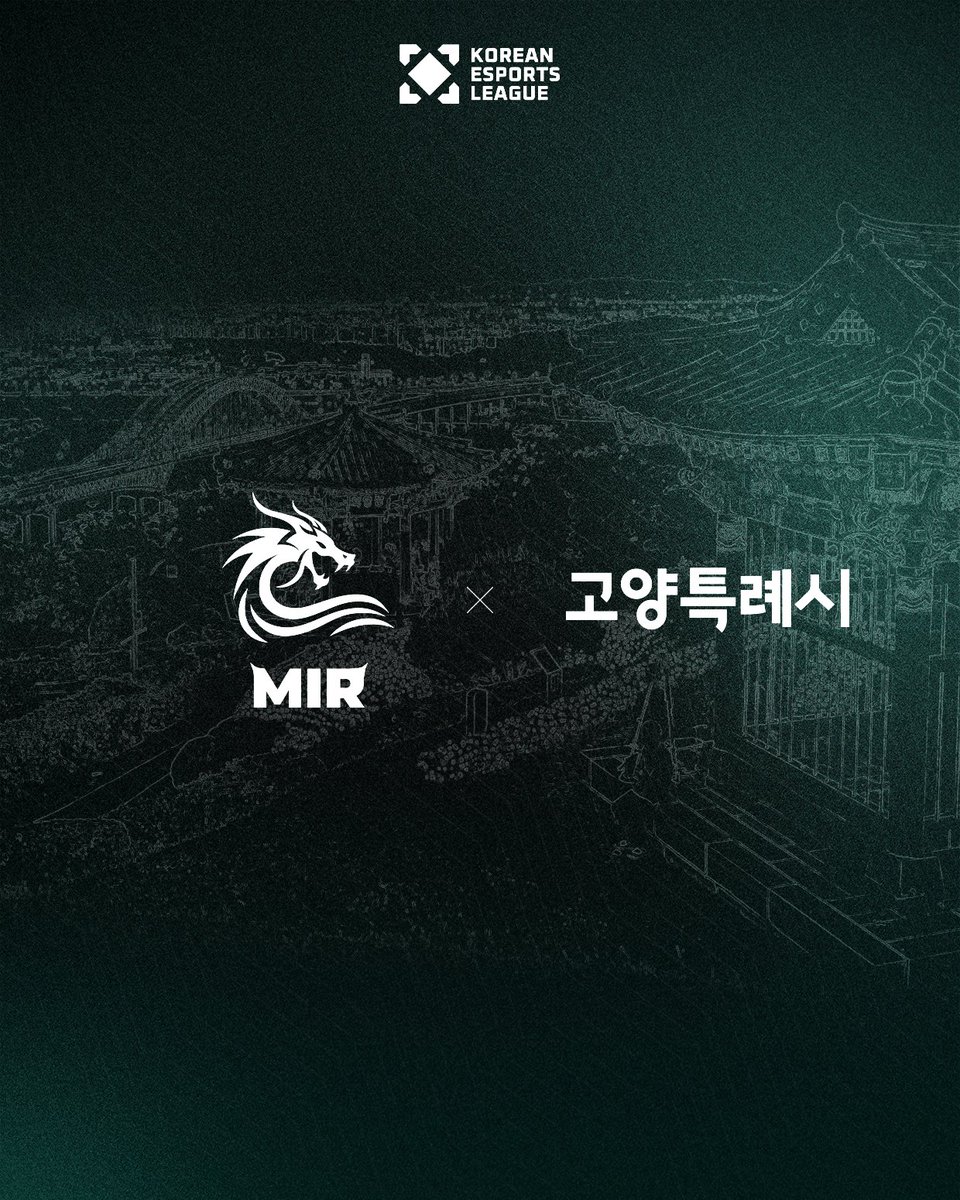 Mir Gaming tweet media