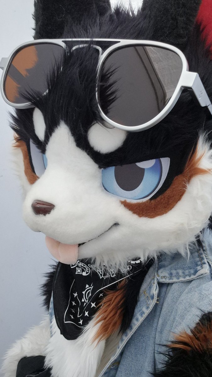 밥차 ( BOBCHA / ボプチャ / 博布查 )🐶🇰🇷 tweet media