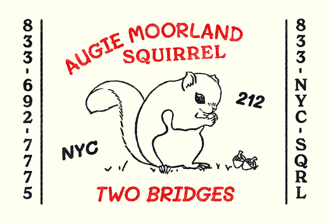 Squirrel Census tweet media