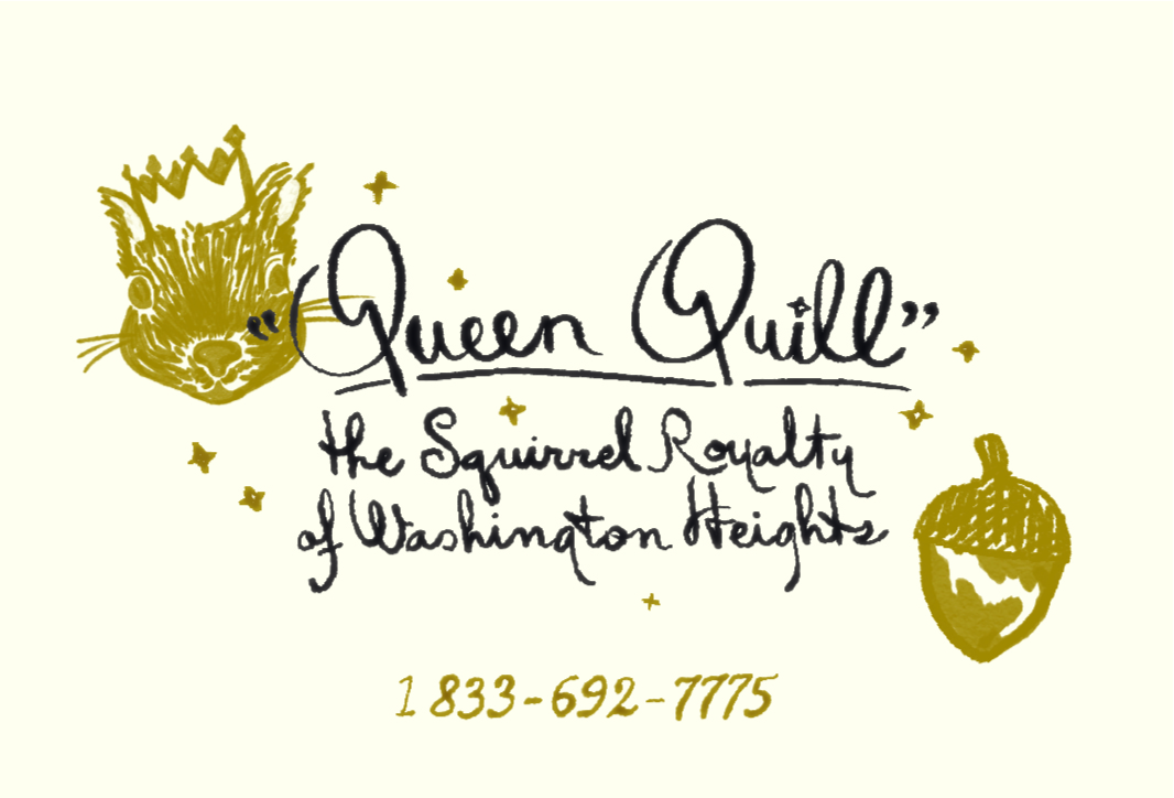 Squirrel Census tweet media