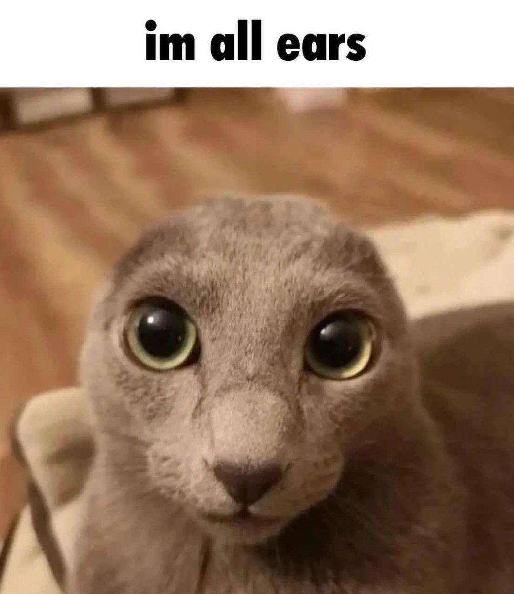 Wow