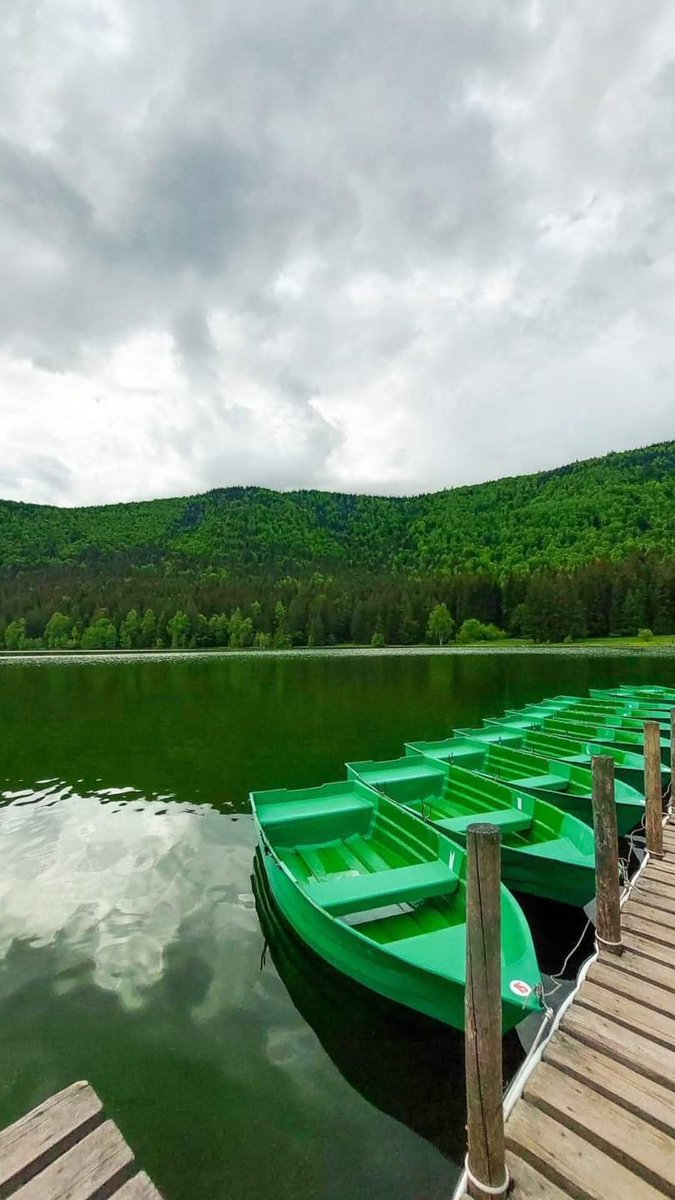 ₿alkan ₿adass tweet media