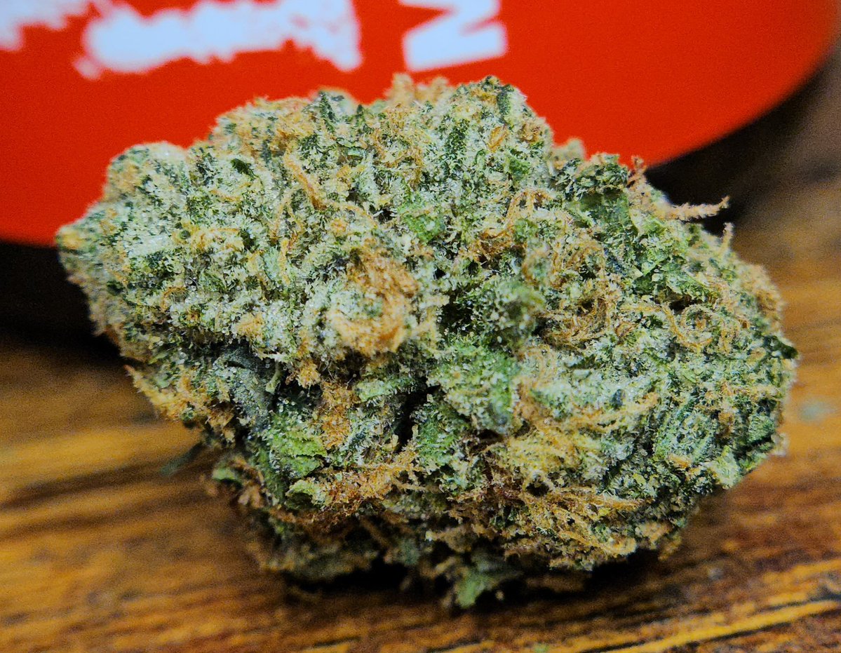 Haze4dayz tweet media