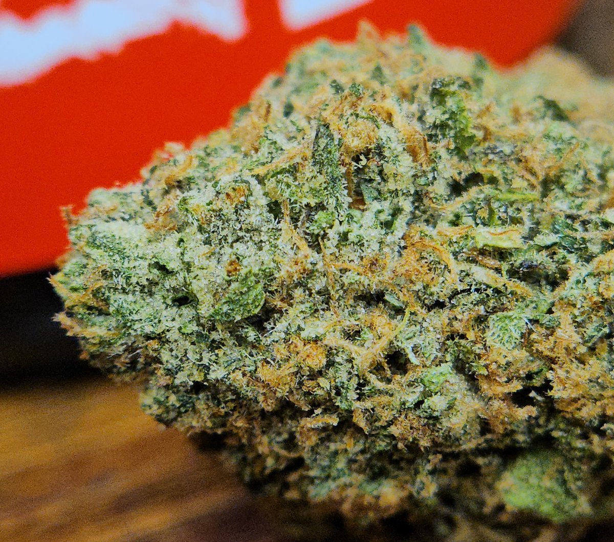 Haze4dayz tweet media