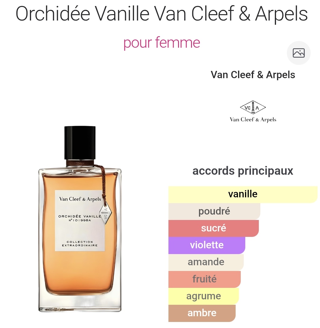 IsmLM🇩🇿🇵🇸 tweet media