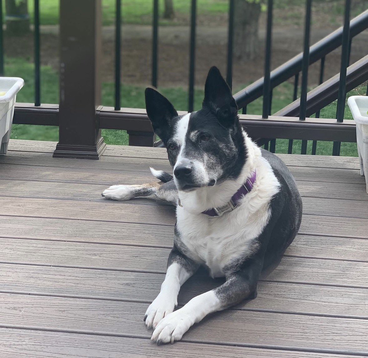 Alec Crouthamel tweet media