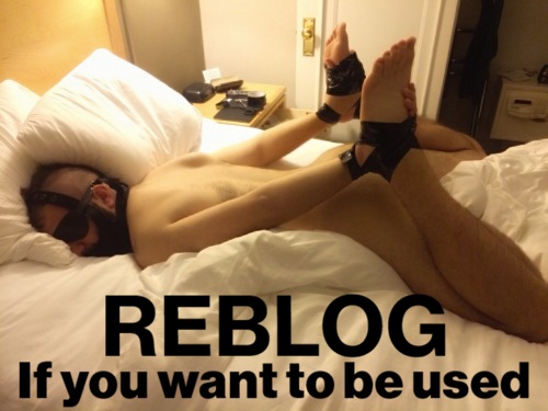 Gay Sub University🍆 tweet media