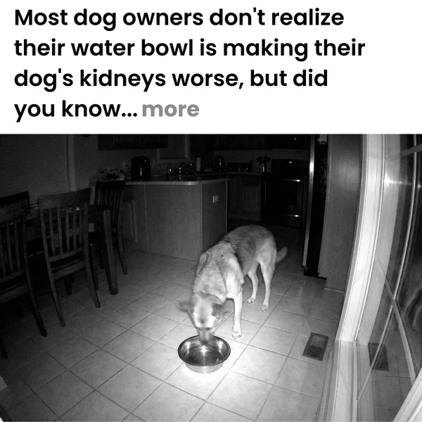 Rebenga 😈 tweet media