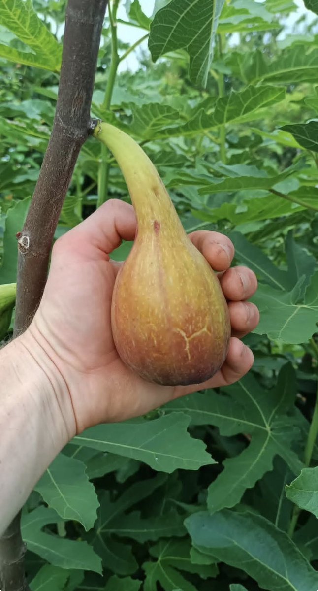 معالم ثقافية منوعة tweet media