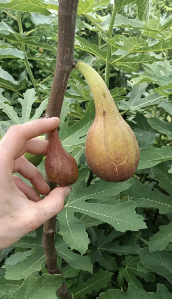 معالم ثقافية منوعة tweet media