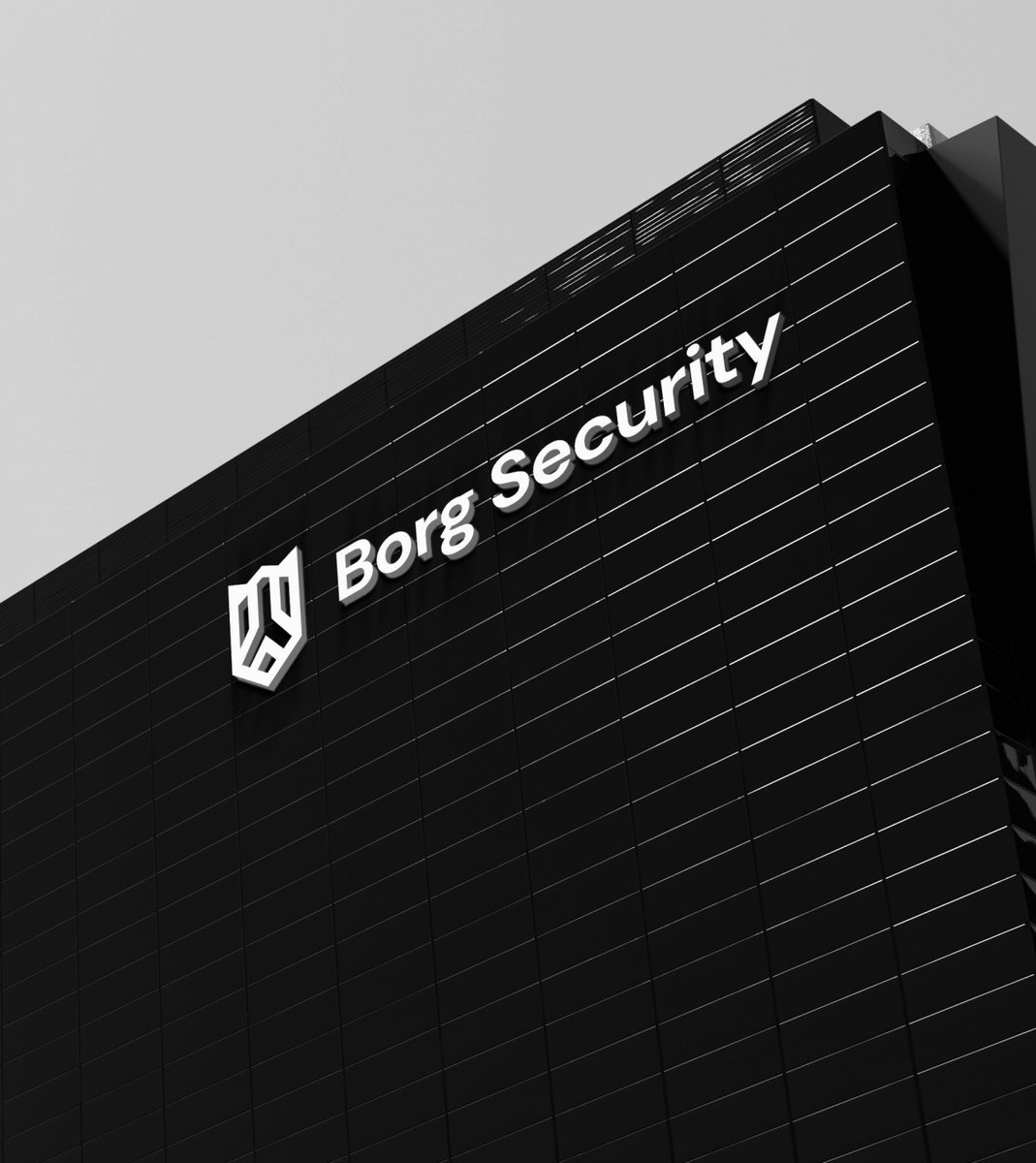 Borg Security tweet media
