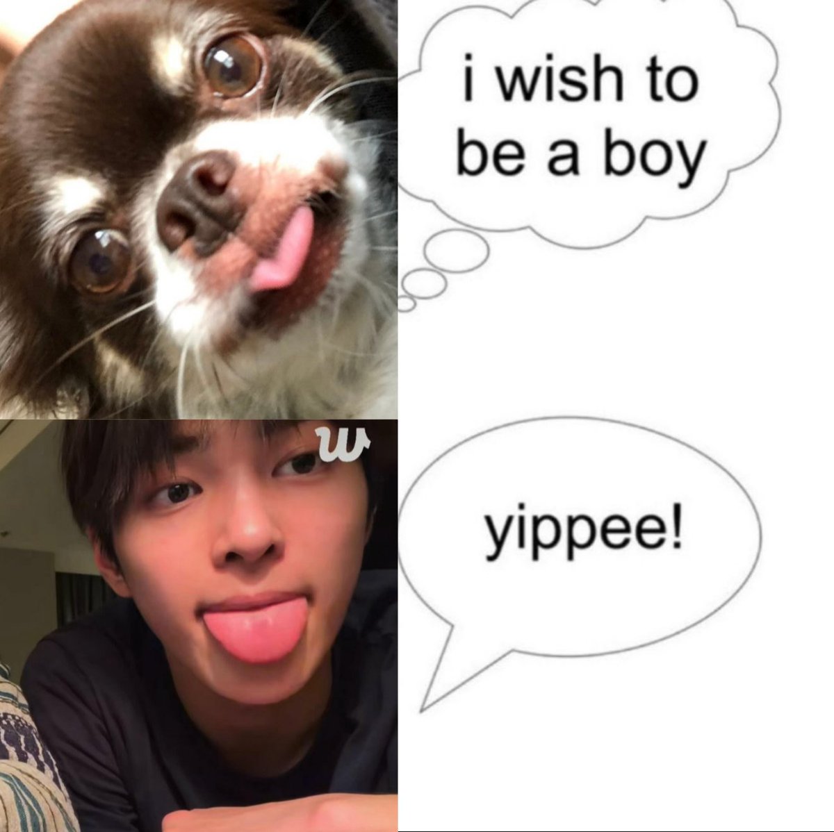 ka (@tetecoidezinha) on Twitter photo 