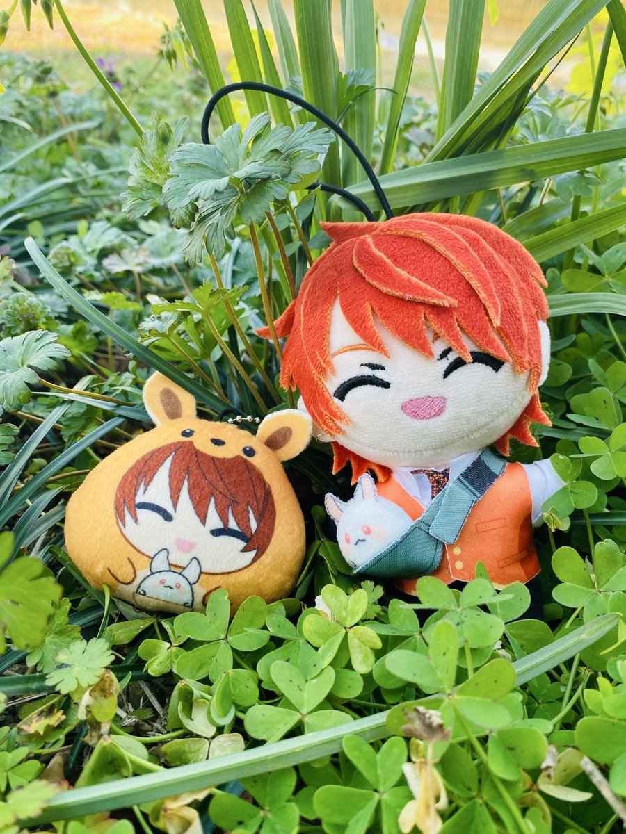 Chibi Dachi tweet media