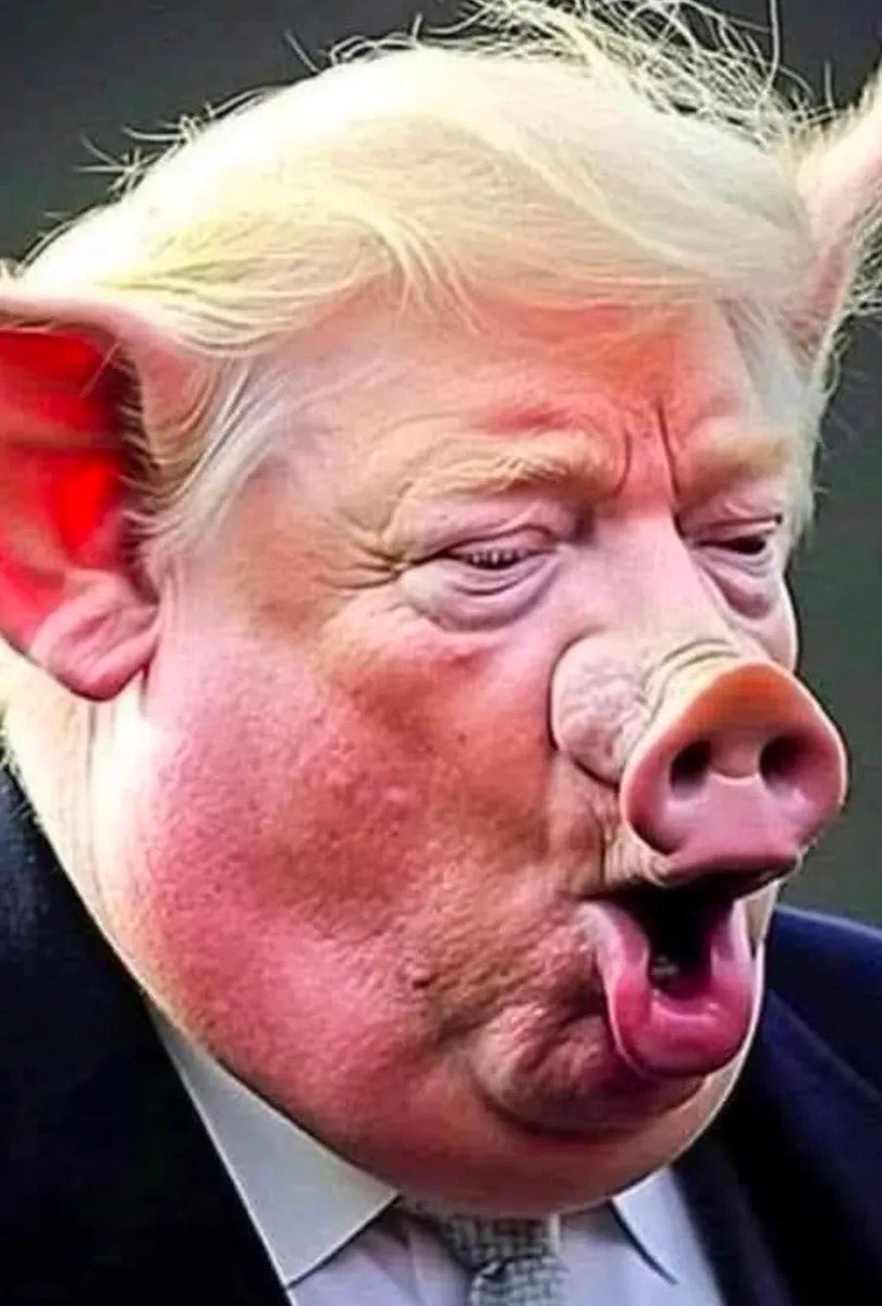 MrFlyingheart's tweet photo. @TNReally @RpsAgainstTrump @grok https://t.co/zRSKEOVtQW